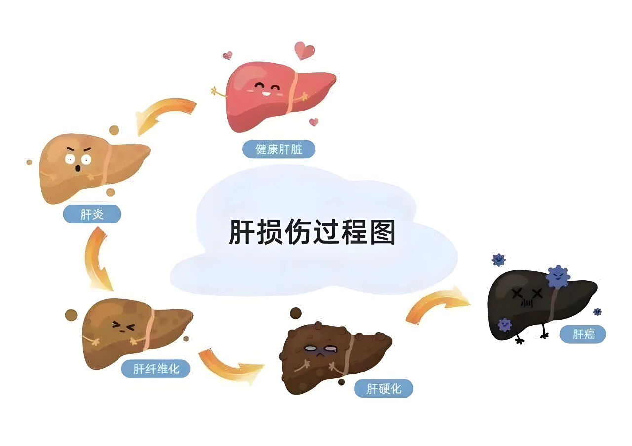 1736328926267006040.png 3497ca661c064ef320eb31137ec9becd.png